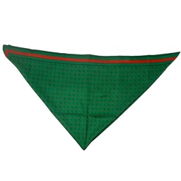 [041320281400000] Pañuelo BAZ Verde